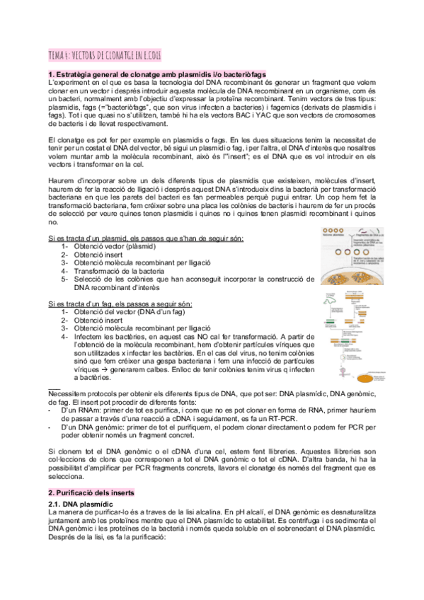 Miniatura del documento Tema-4vectors-de-clonatge-en-E.-Coli.pdf