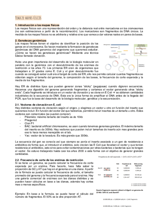 Miniatura del documento Tema-2Bmapas-fisicos.pdf