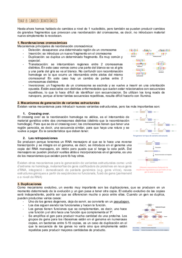Miniatura del documento Tema-5Bcmbio-cromosomico.pdf