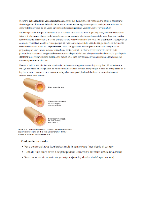 Miniatura del documento ACTIVIDAD-DE-SIMULACION-5.pdf