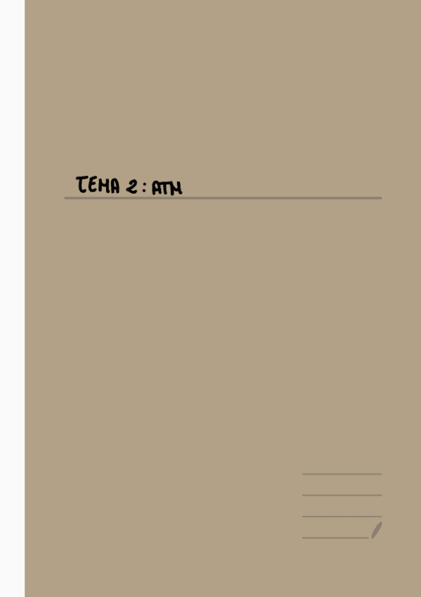 Miniatura del documento Tema-ATM-esquema-imagen.pdf