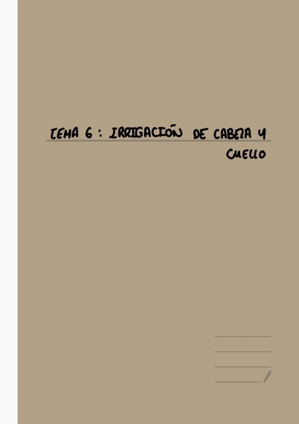Miniatura del documento Irrigacion-esquema-imagen.pdf