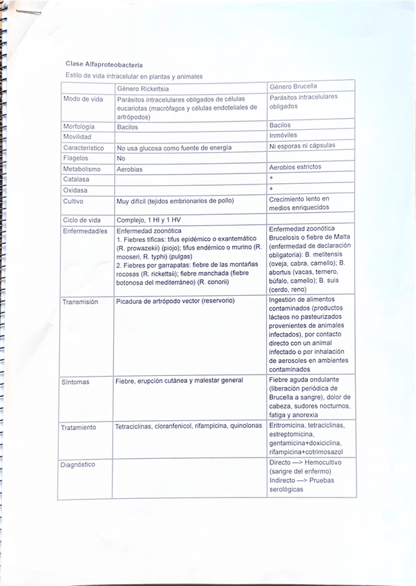 Miniatura del documento Esquemas-Micro-II.pdf