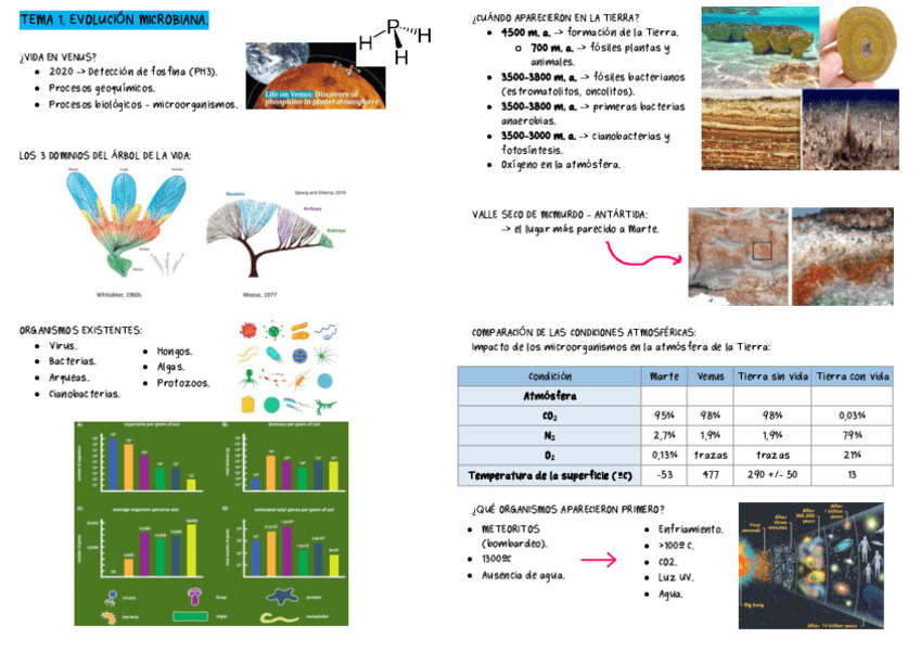 Miniatura del documento APUNTES-PRIMER-PARCIAL.pdf