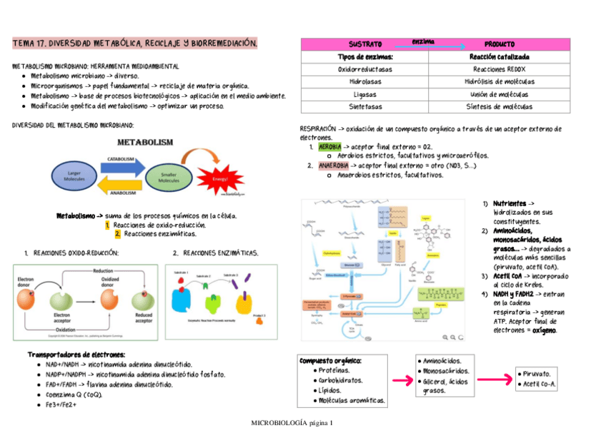 Miniatura del documento APUNTES-2-PARCIAL.pdf