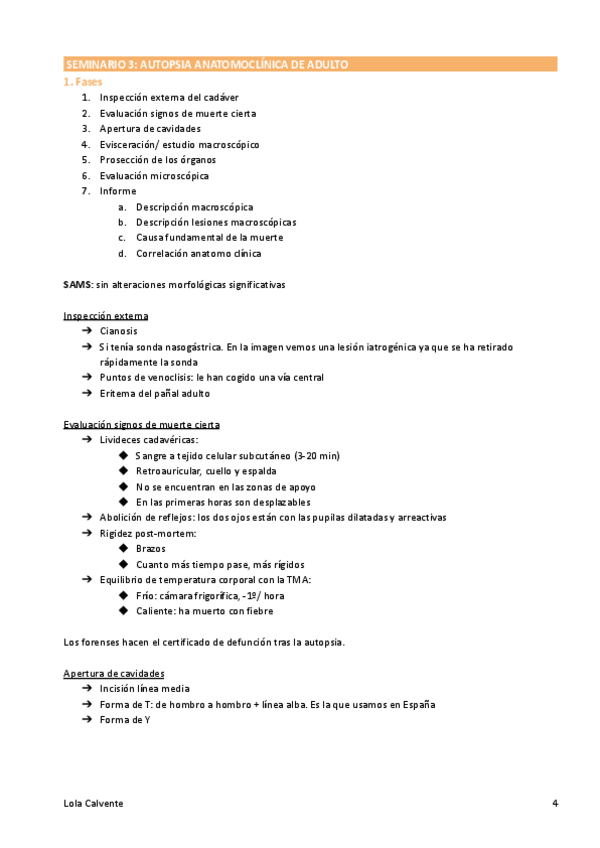 Miniatura del documento Autopsia del adulto.pdf