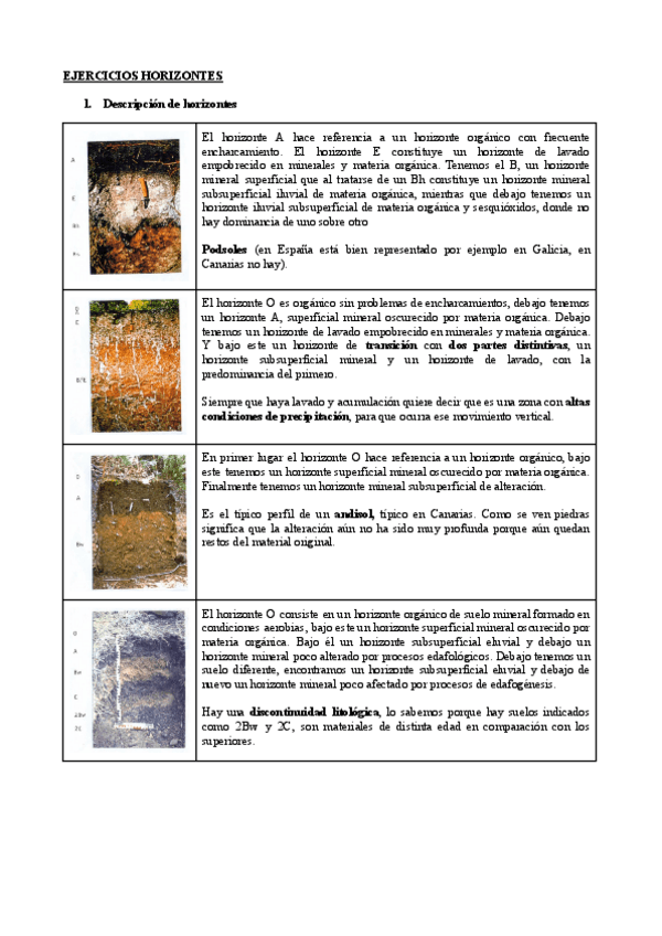 Miniatura del documento Ejercicios-horizontes.pdf