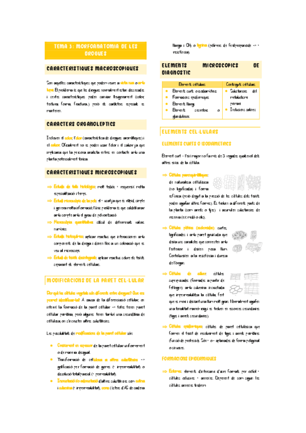 Miniatura del documento Tema-3-morfoanatomia-de-les-drogues.pdf