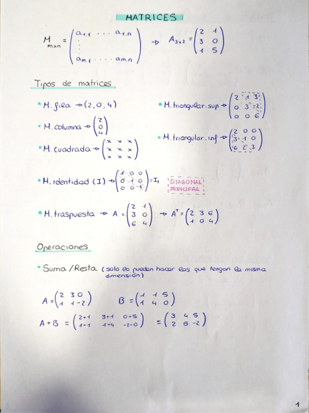 Miniatura del documento MATRICES.pdf