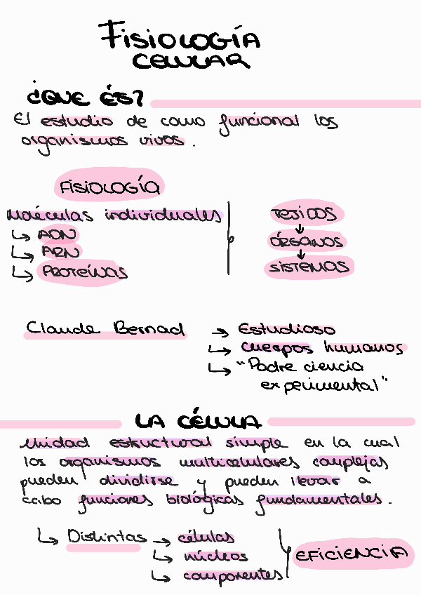 Miniatura del documento Tema 1.1 Fisiología celular.pdf
