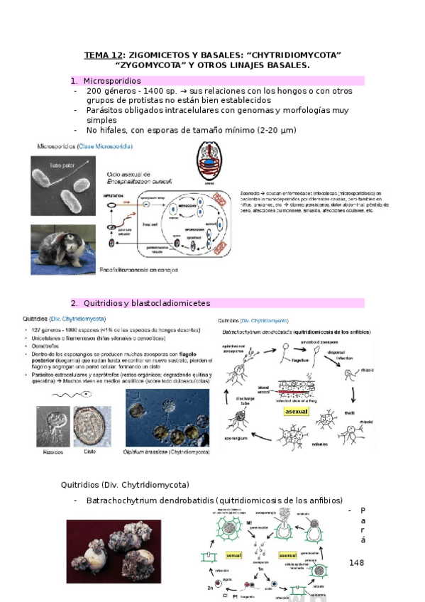 Miniatura del documento TEMA-12.docx
