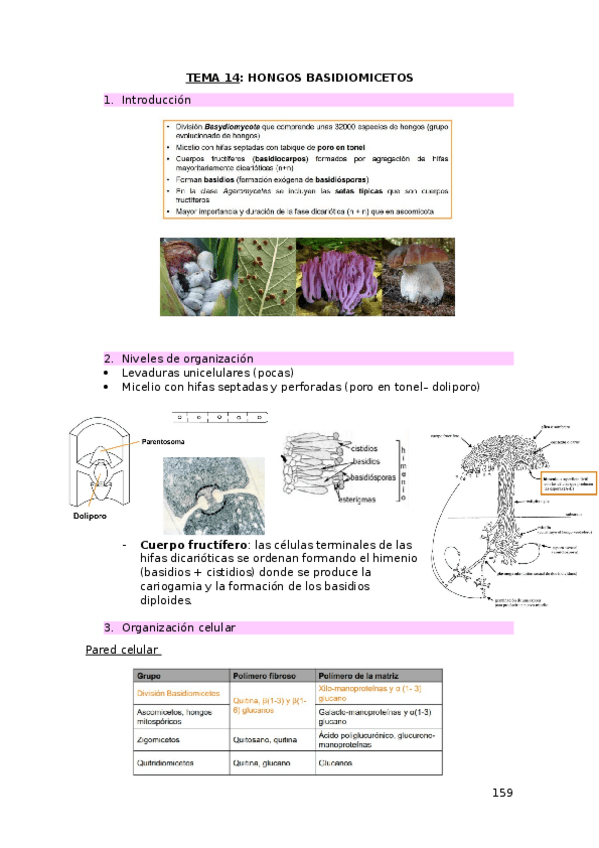 Miniatura del documento TEMA-14.docx