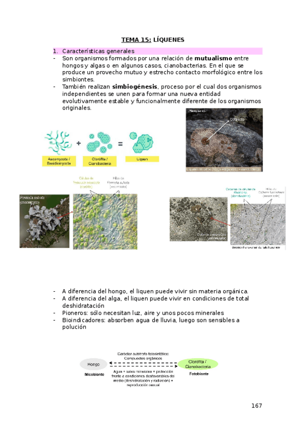 Miniatura del documento TEMA-15.docx