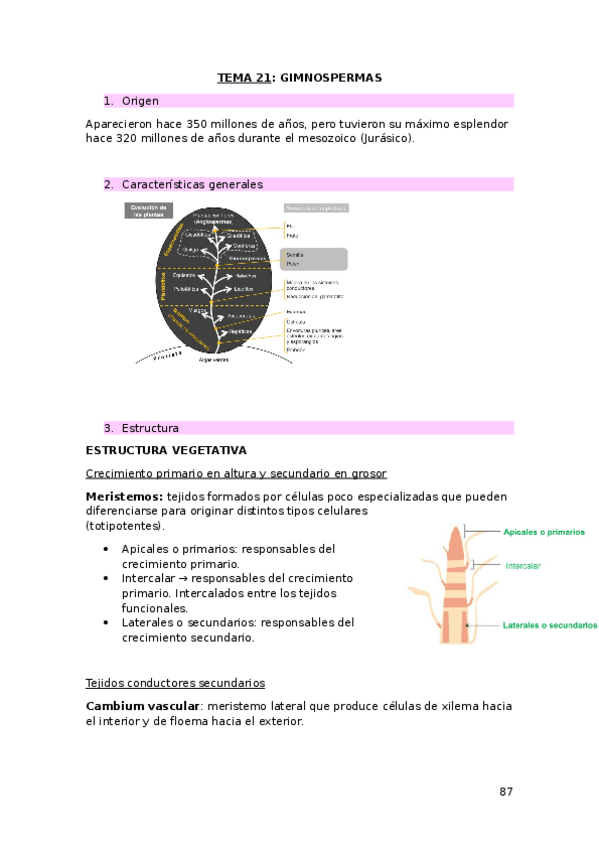 Miniatura del documento tema-21-botanica.docx