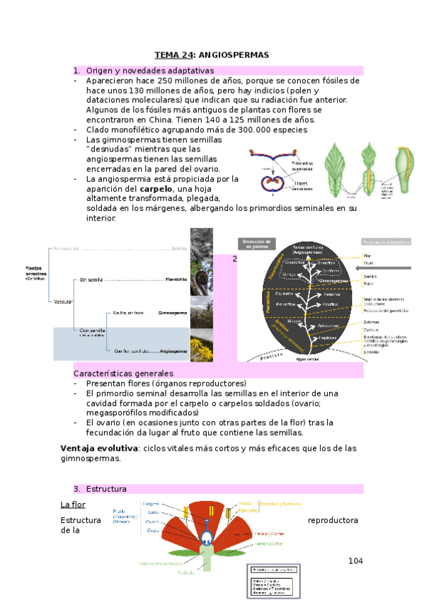 Miniatura del documento TEMA-24.docx