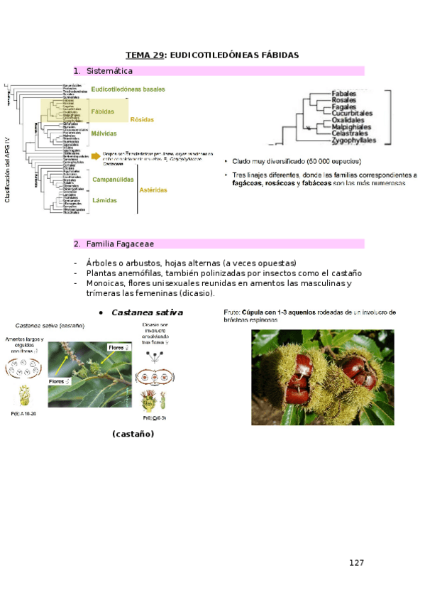 Miniatura del documento TEMA-29.docx