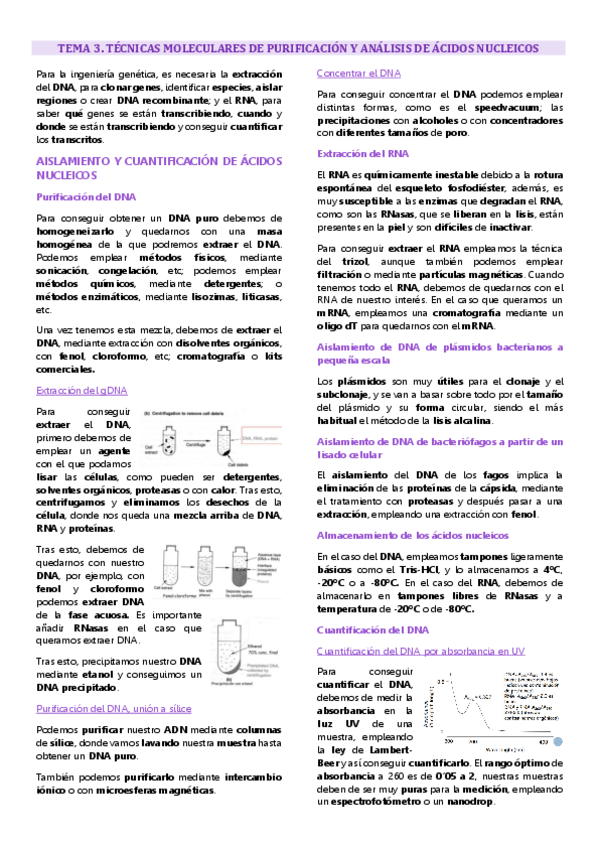 Miniatura del documento Tema 3 Ingeniería genética, Técnicas moleculares de purificación y análisis de ácidos nucléicos.pdf