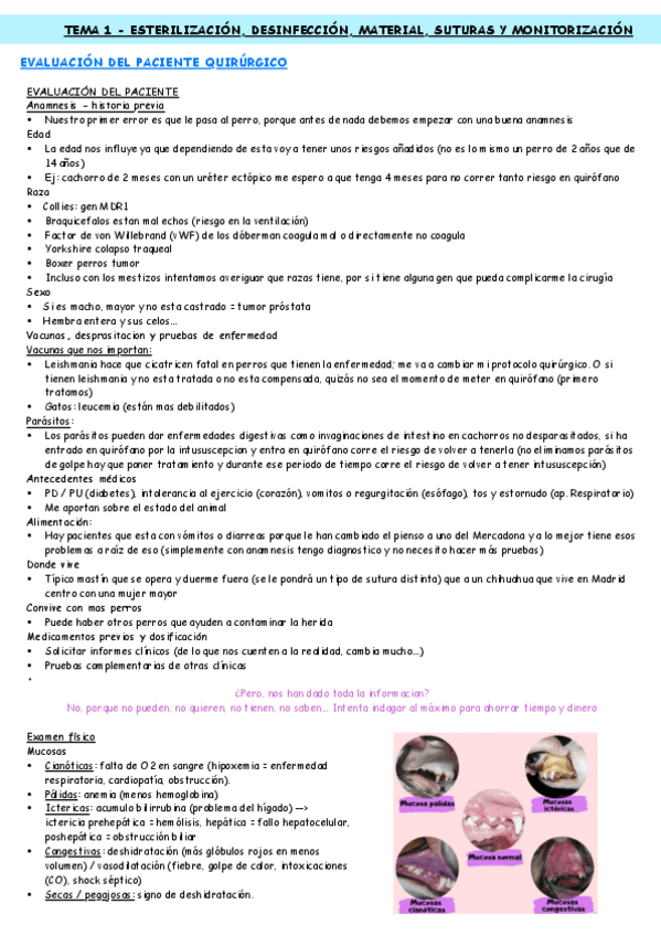 Miniatura del documento TEMA-1-ESTERILIZACION-DESINFECCION-MATERIAL-SUTURAS-Y-MONITORIZACION.pdf