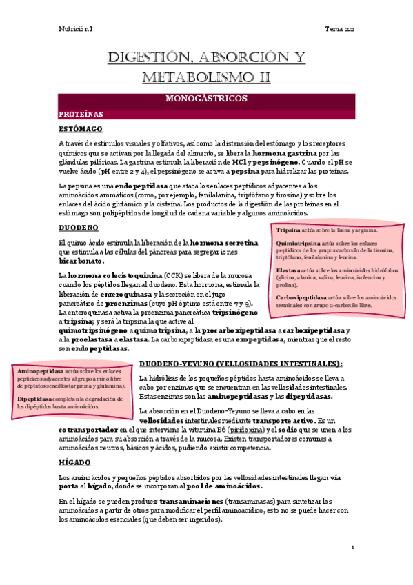 Miniatura del documento 2.2.-Digestión-absorción-y-metabolismo II.pdf