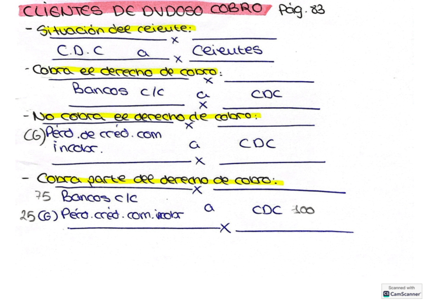 Miniatura del documento Resumen-clientes-dudoso-cobro.pdf