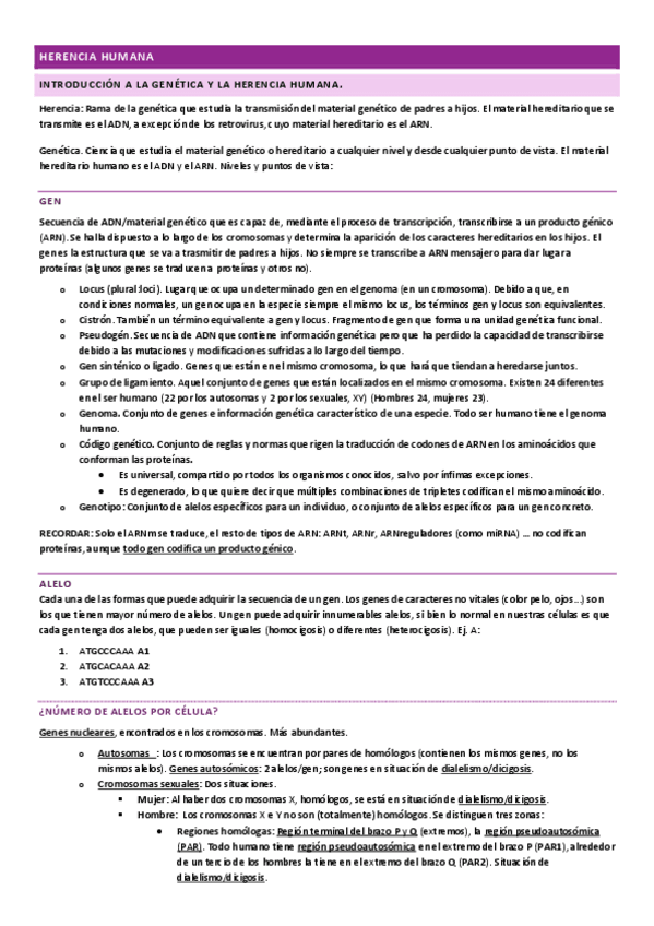 Miniatura del documento HERENCIA.pdf