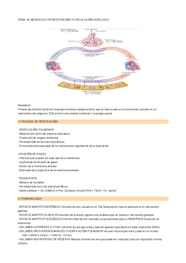 Miniatura del documento 2o-PARCIAL-HISTORIA.pdf
