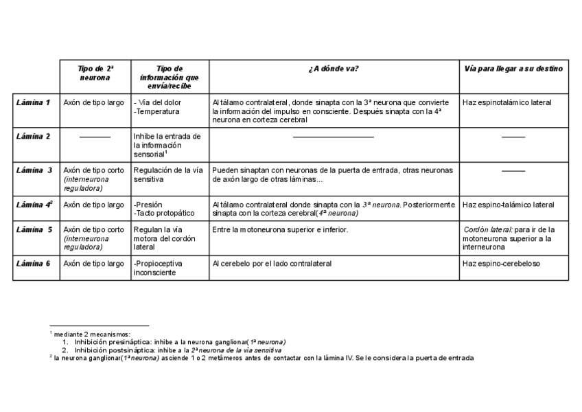 Miniatura del documento Laminas-de-la-medula.pdf