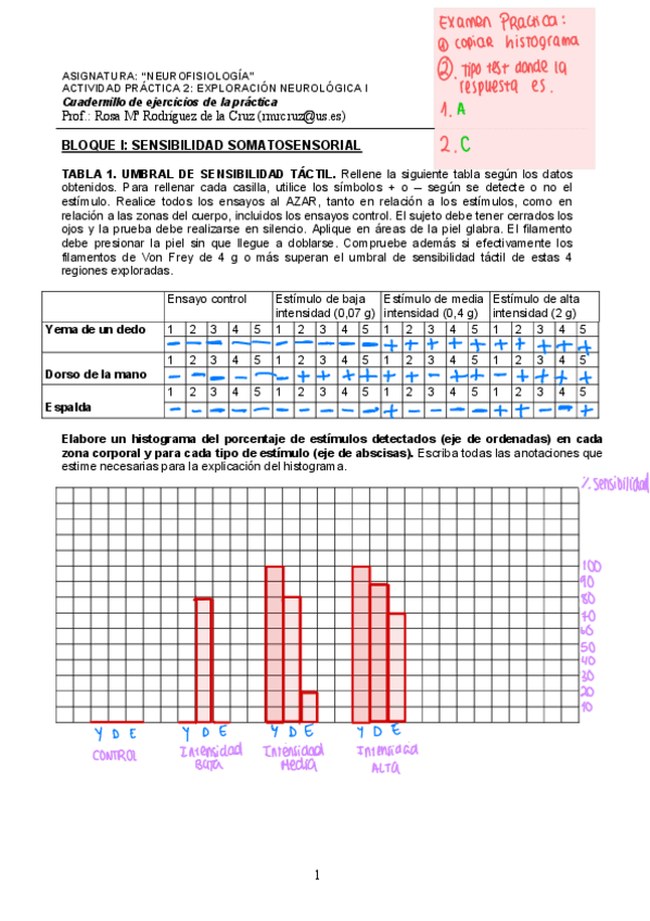 Miniatura del documento Practica-2-Y-Examen.pdf