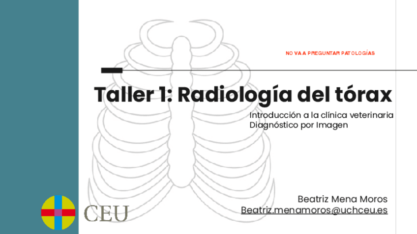 Miniatura del documento Taller-1-ICV-DxI-Torax-SR.pdf