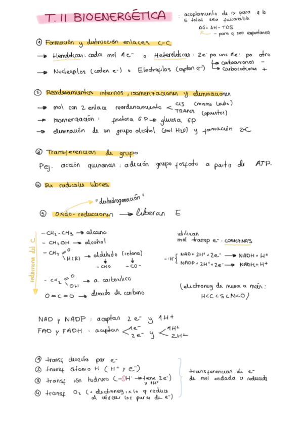 Miniatura del documento T11-bioenergetica.pdf