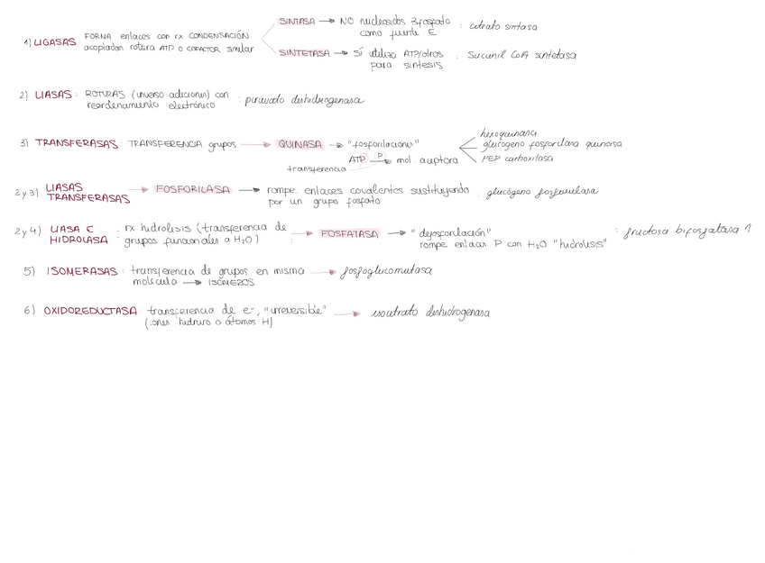 Miniatura del documento T7-nomenclatura-enzimas.pdf