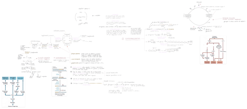 Miniatura del documento T13-regulacion-rutas-metabolicas.pdf
