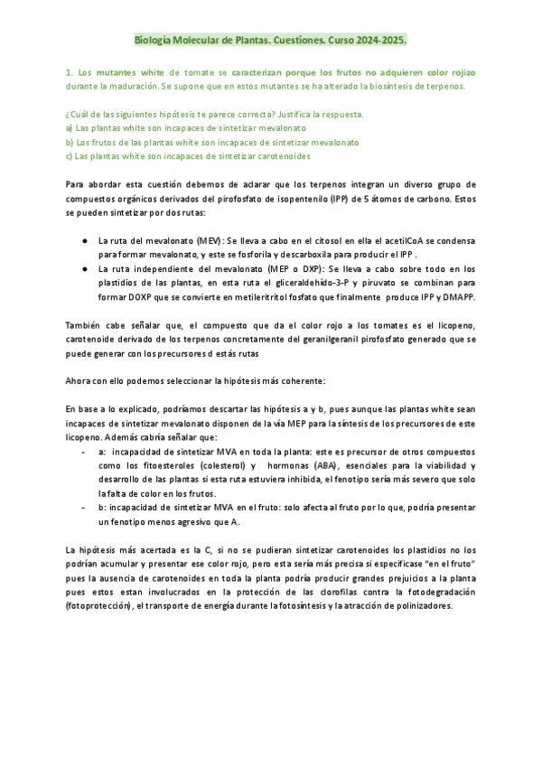 Miniatura del documento Cuestiones-EXAMEN-2024-2025.pdf