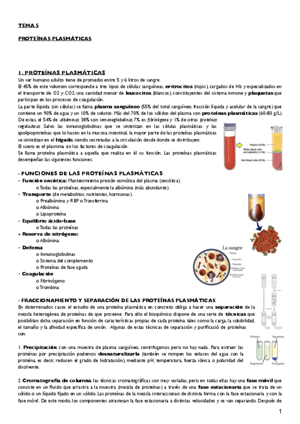 Miniatura del documento tema 5.pdf