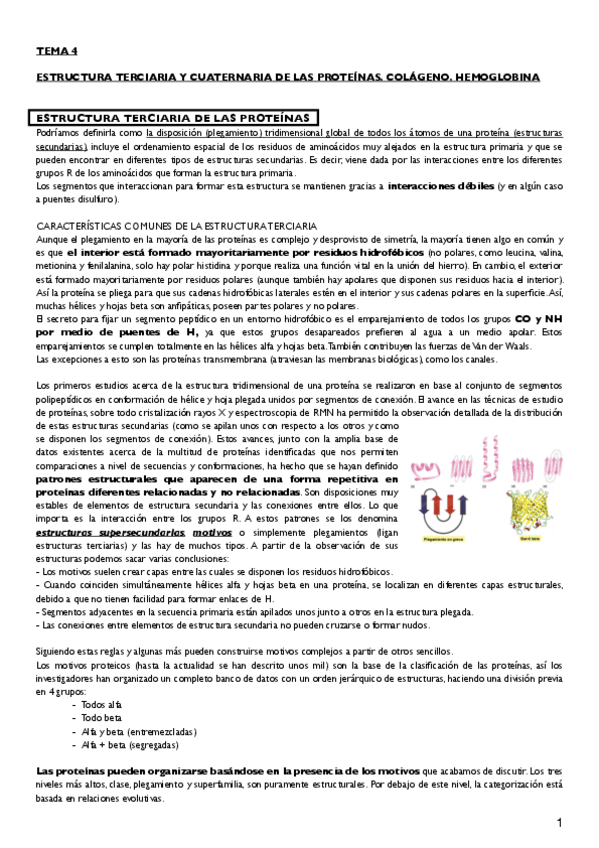 Miniatura del documento tema 4 estructura 3 y 4.pdf