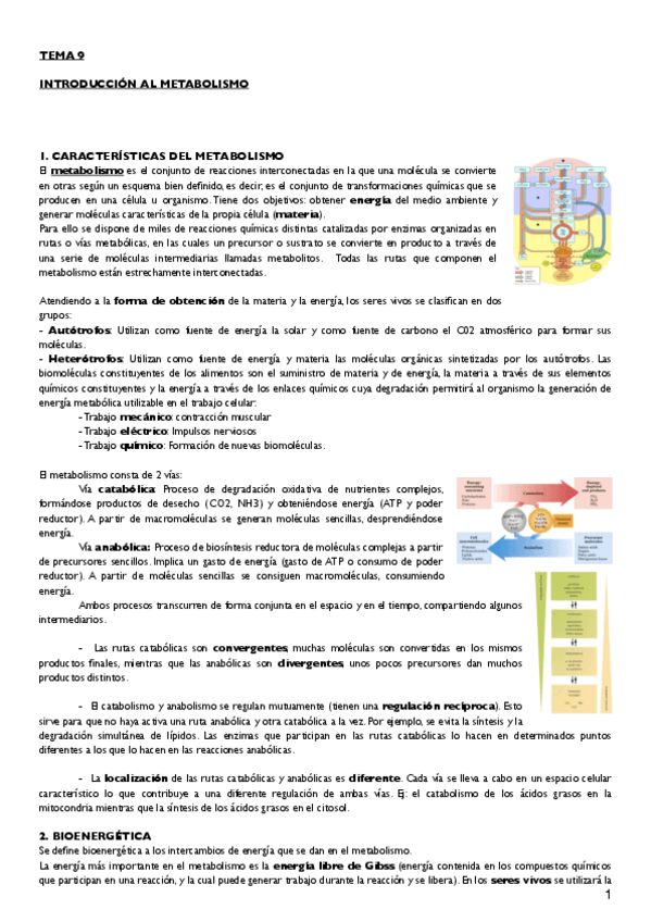 Miniatura del documento Tema 9.pdf
