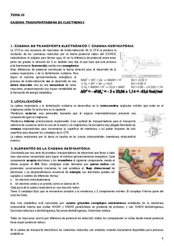 Miniatura del documento Tema 10.pdf
