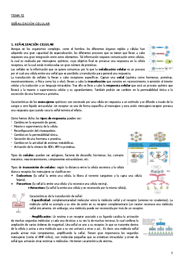 Miniatura del documento Tema 12.pdf