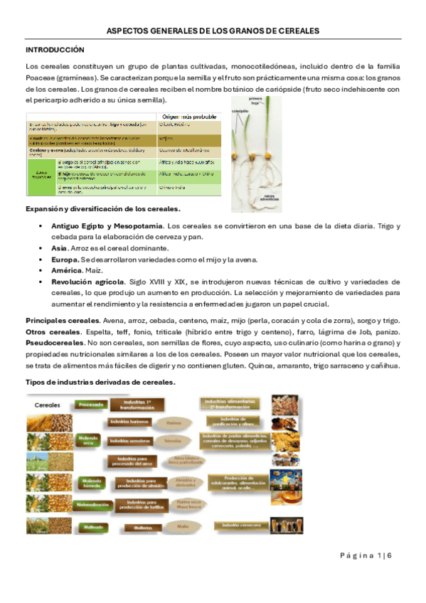 Miniatura del documento ASPECTOS-GENERALES-DE-LOS-GRANOS-DE-CEREAL.pdf