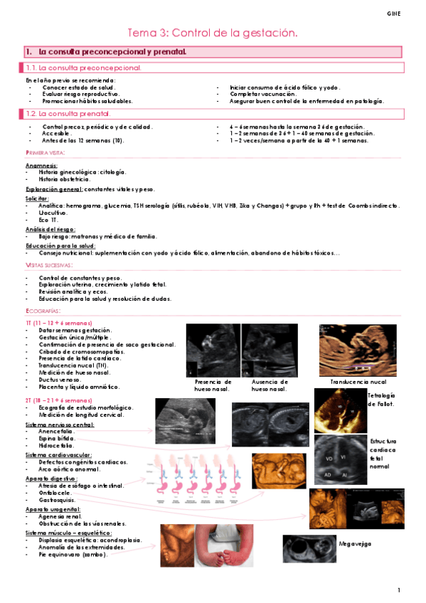 Miniatura del documento Tema-3.pdf