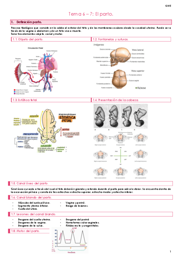 Miniatura del documento Tema-6-Y-7.pdf