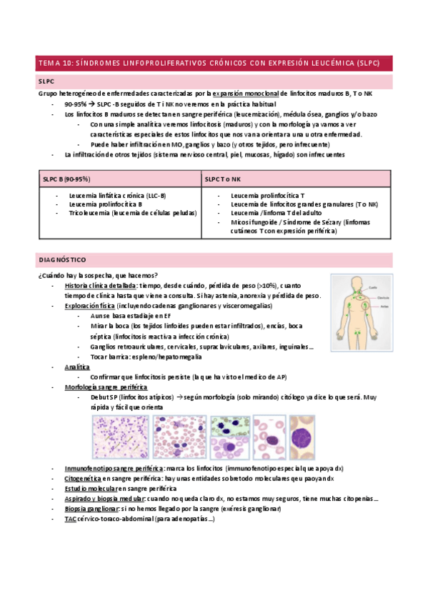 Miniatura del documento TEMA-10SINDROMES-LINFOPROLIFERATIVOS-CRONICOS-CON-EXPRESION-LEUCEMICA-SLPC.pdf