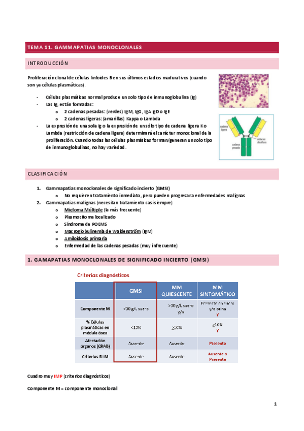 Miniatura del documento TEMA-11GAMMAPATIAS-MONOCLONALES.pdf