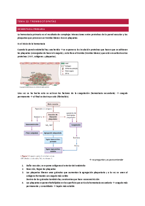 Miniatura del documento TEMA-12TROMBOCITOPATIAS.pdf