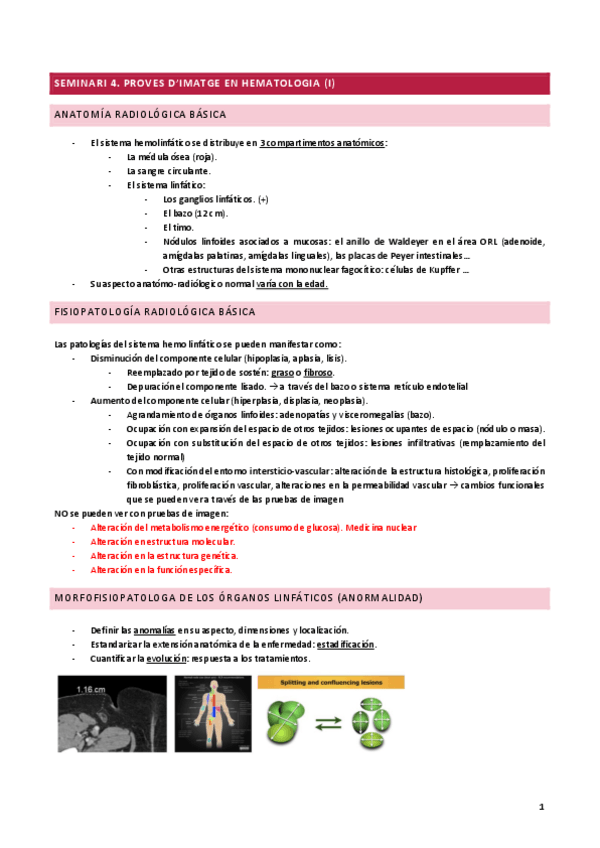 Miniatura del documento SEMINARI-4PROVES-DIMATGE-EN-HEMATOLOGIA-I.pdf