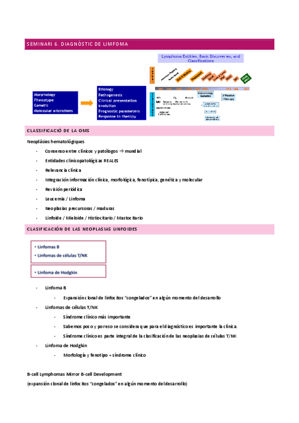 Miniatura del documento SEMINARI-6DIAGNOSTIC-DE-LIMFOMA.pdf