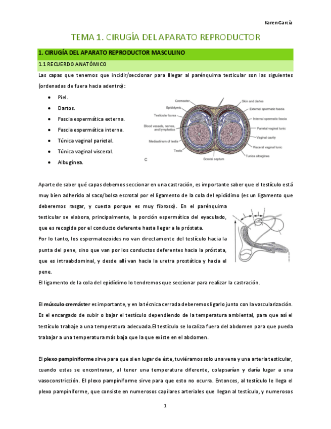 Miniatura del documento ciru-temes-1-a-5.pdf