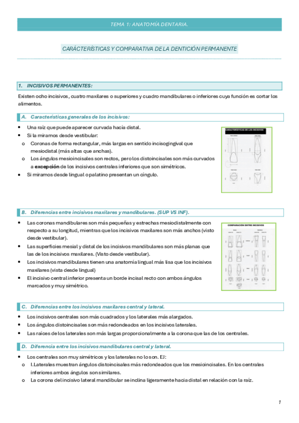 Miniatura del documento UD-1-ANATOMIA-DENTARIA.pdf