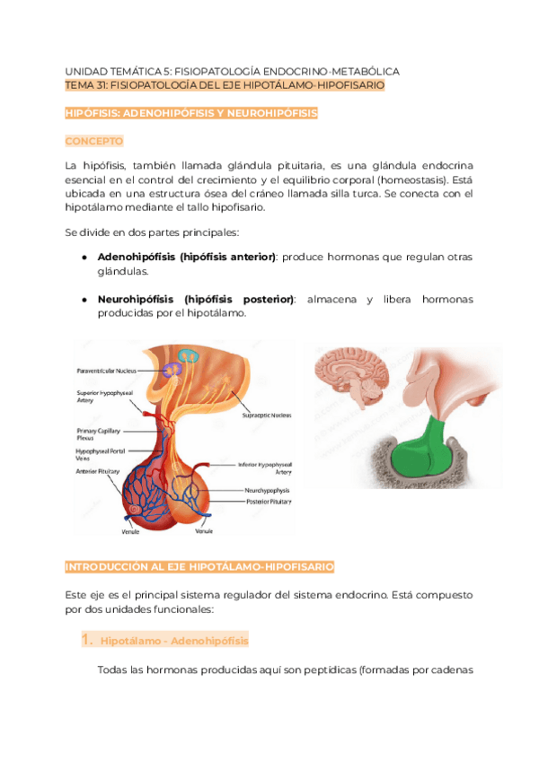 Miniatura del documento FISIOPATOLOGIA-2a-PARTE.pdf
