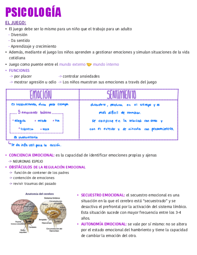 Miniatura del documento Apuntes-libro-Que-Sientes-Cuando-No-Sientes-Nada.pdf